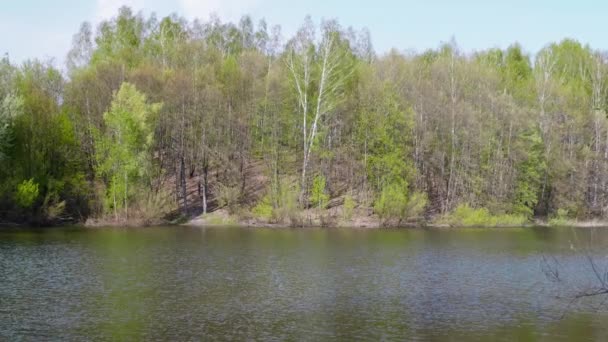 Handheld breed schot prachtige bomen in bos en vijver in het voorjaar — Stockvideo