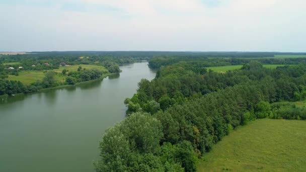 Aerial view beautiful nature lake and forest — Stock Video