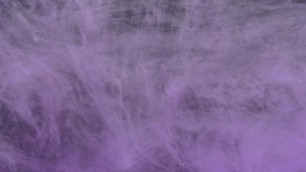 Фиолетовая чернильная акриловая краска смешивается в воде, мягко кружится под водой в аквариуме — стоковое видео