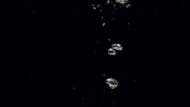Trage beweging luchtbellen in water stijgen op tot het oppervlak op zwarte achtergrond — Stockvideo