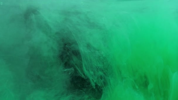 녹색 잉크 아크릴 페인트를 물에 섞어 수족관에서 물 속에서 부드럽게 소용돌이치는 모습 — 비디오