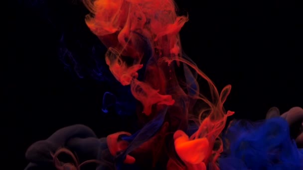 Tinta azul y roja de cámara lenta mezclándose en agua, girando suavemente bajo el agua — Vídeo de stock