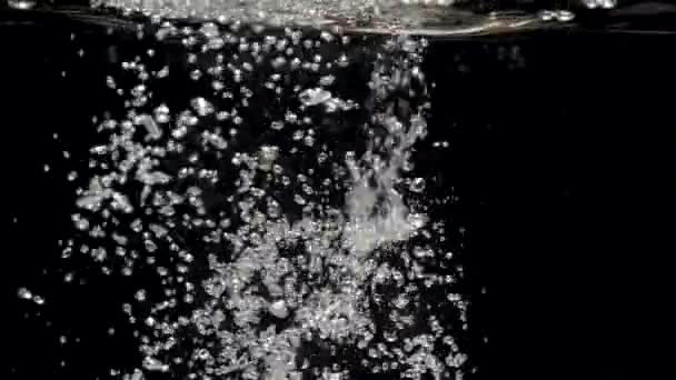 Flux d'eau à mouvement lent descend dans l'aquarium sur un fond noir — Video