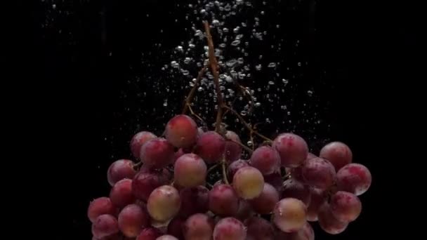 Pomalý pohyb červené hrozny padající do průhledné vody na černém pozadí — Stock video