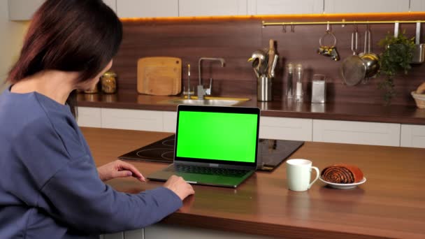 Πράσινη γυναίκα φορητό υπολογιστή οθόνη χαιρετά μιλάμε ακούει online βίντεο κλήση κάμερα chat — Αρχείο Βίντεο