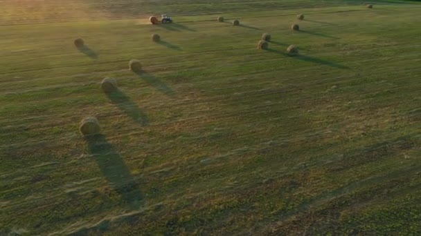 Air top view άχυρα στο γεωργικό τομέα το καλοκαίρι στο ηλιοβασίλεμα, άχυρα — Αρχείο Βίντεο