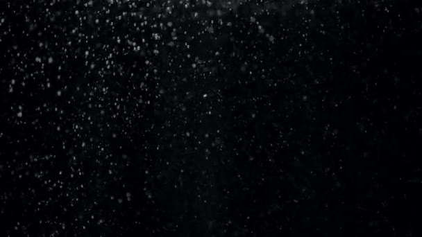 Trage beweging kleine luchtbelletjes in water die opstijgen naar het oppervlak op zwarte achtergrond — Stockvideo