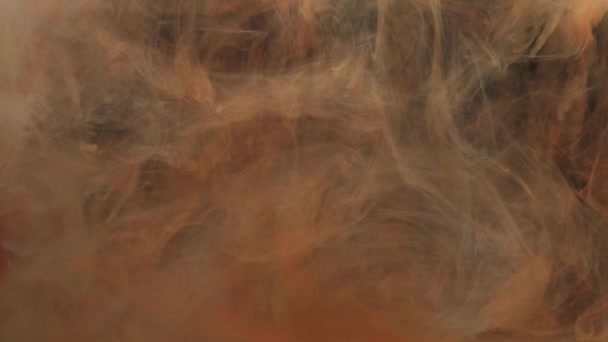 붉은 오렌지색 잉크 가 물에 섞여서 수족관에서 물 속에서 부드럽게 소용돌이치는 모습 — 비디오