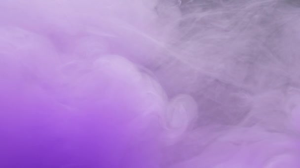 Фіолетова чорнильна акрилова фарба змішується у воді, м'яко крутиться під водою в акваріумі — стокове відео