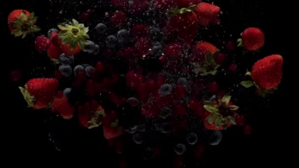 Fraise, framboise, myrtille et mûre tombant dans l'eau transparente — Video