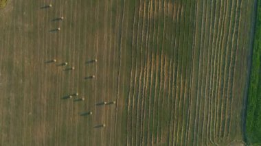Yazın gün batımında tarımsal alanda hava manzaralı saman balyaları, saman yığını