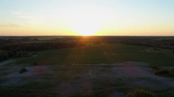 Légi kilátás naplemente vagy napkelte mező drón lövés gyönyörű nyári nap az erdőben — Stock videók