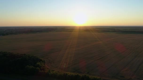 Вид с воздуха на пшеничное поле во время захода солнца, красивый летний пейзаж, солнце — стоковое видео