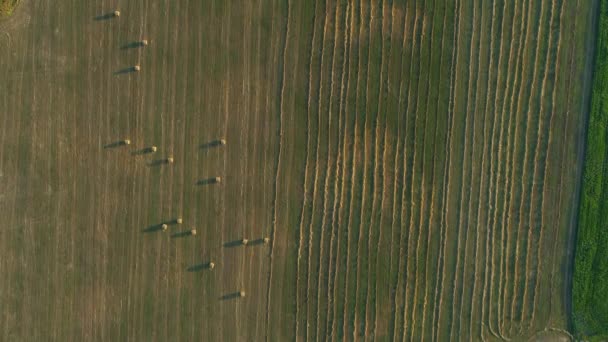 Flygfoto höbalar på jordbruksfältet i sommar vid solnedgången, höstack — Stockvideo