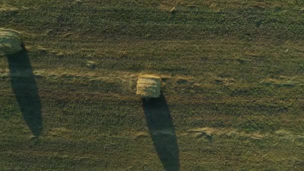 Повітряний вид зверху тюки сіна на сільськогосподарському полі влітку на заході сонця, стовбур сіна — стокове відео