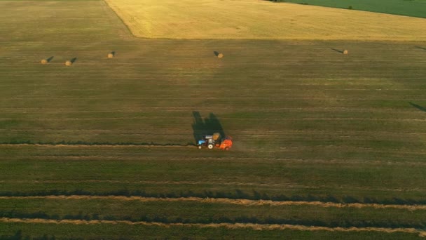 Aerial view tractor baling machine making silage bales on farmland, haystack — Stock Video