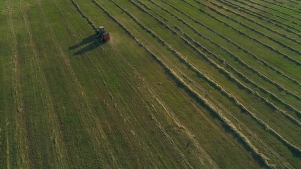 Aerial view tractor baling machine making silage bales on farmland, wheat field — Stock Video