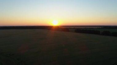 Gün batımında bir buğday tarlası üzerindeki hava manzarası, güzel yaz manzarası, güneş