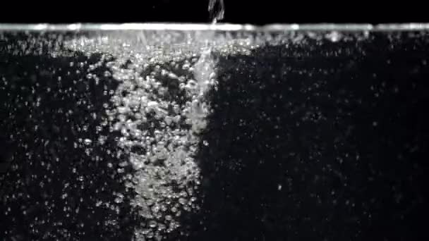 Flux d'eau à mouvement lent descend dans l'aquarium sur un fond noir — Video