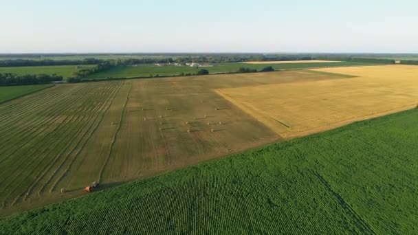 Máquina de enfardamento trator vista aérea fazendo fardos de silagem em terras agrícolas, corte de trigo — Vídeo de Stock