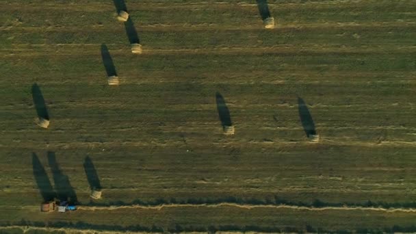 Trator de vista aérea superior com máquina de enfardamento fazendo fardos de silagem em terras agrícolas — Vídeo de Stock