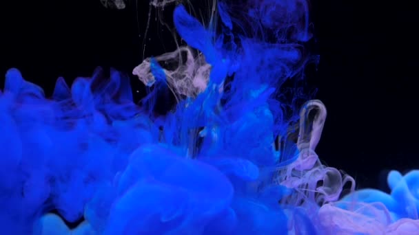 Långsam blå och lila bläck blandning i vatten, virvlande mjukt under vattnet — Stockvideo