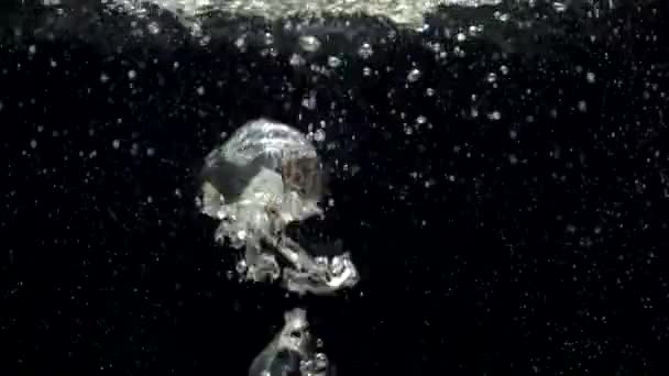 Trage beweging luchtbellen in water stijgen naar het oppervlak op zwarte achtergrond — Stockvideo