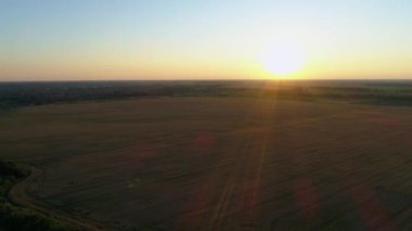 Gün batımında bir buğday tarlası üzerindeki hava manzarası, güzel yaz manzarası, güneş