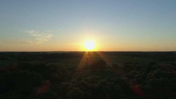 Letecký pohled západ slunce nebo východ slunce v poli drone shot krásný letní slunce v lese — Stock video