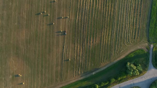 Máquina de enfardamento de trator de vista superior aérea que faz fardos de silagem em terras agrícolas, palheiro — Vídeo de Stock