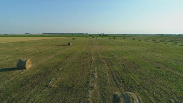 Flygfoto höbalar på jordbruksfältet i sommar vid solnedgången, höstack — Stockvideo