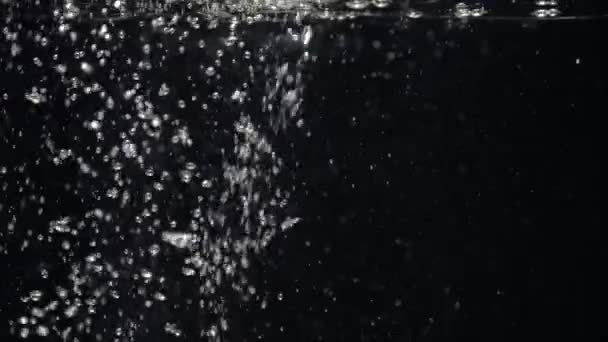 Powolny strumień wody opada w akwarium na czarnym tle — Wideo stockowe