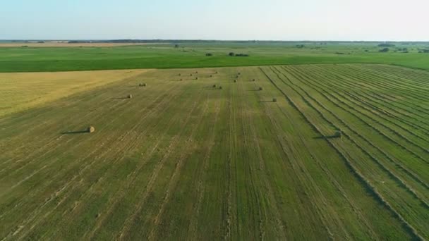 Widok z lotu ptaka bele siana na polu rolniczym w lecie o zachodzie słońca, stóg siana — Wideo stockowe
