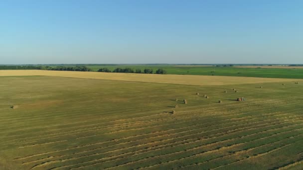 Аерофотозйомка тюків сіна на сільськогосподарському полі влітку на заході сонця, стовп сіна — стокове відео