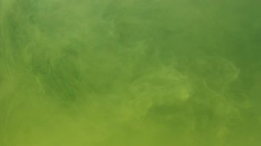 Sarı mürekkep akrilik boya suda karışıyor, akvaryumda yavaşça suyun altında dönüyor.