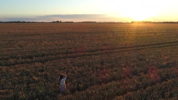 空中ビューの女性は、夕日や日の出、ドローンを見て小麦畑に立っている — ストック動画