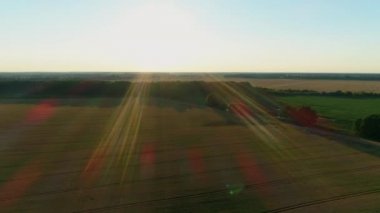 Gün batımında hava manzaralı buğday tarlası. Drone tarım buğday tarlası üzerinde uçuyor