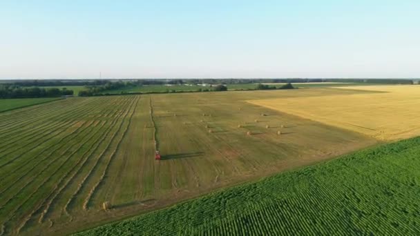 Aerial view tractor baling machine making silage bales on farmland, cut wheat — Stock Video