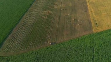 Hava manzaralı saman balyaları yaz mevsiminde gün batımında tarım alanında. İnsansız hava aracı samanlığı vurdu ve tarım için kuru ot hasat etti. Saman balyalarının üzerinde uçmak. Ekinleri biçip biçmek için çiftçiler mevsimi