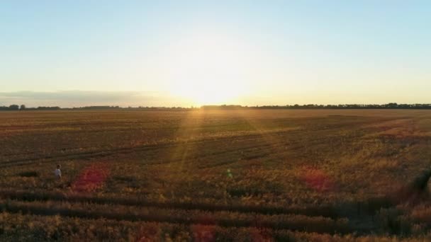 Letecká Žena Stojící Při Západu Slunce Poli Pšenice Dron Přeletí — Stock video