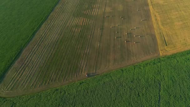 Vista Aérea Las Balas Heno Campo Agrícola Verano Atardecer Drone — Vídeos de Stock