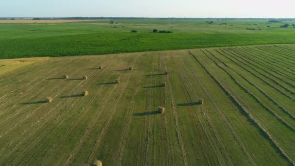 Luchtfoto Hooibalen Het Landbouwveld Zomer Bij Zonsondergang Drone Schoot Hooiberg — Stockvideo