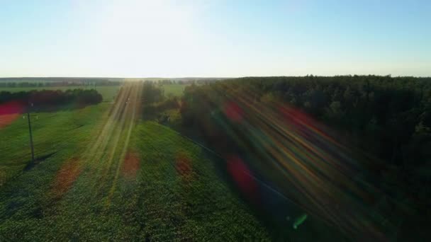 Luchtfoto Zomer Zonsondergang Zonsopgang Buurt Van Het Bos Maïsveld Drone — Stockvideo