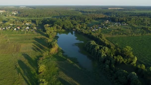 Légi Kilátás Gyönyörű Táj Nyáron Drón Repül Kukoricaföldön Napsütésben Drón — Stock videók