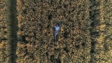 Aerial top view woman lies among a wheat field at sunset. Drone flies over agricultural wheat field during sunrise. Drone shot beautiful summer nature of a wheat field
