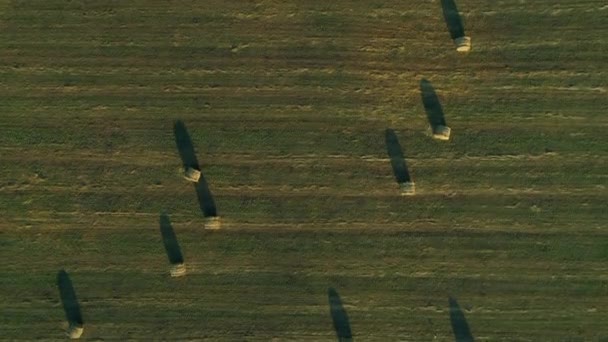 Aerial Top View Hay Bales Agricultural Field Summer Sunset Tractor — Stock Video