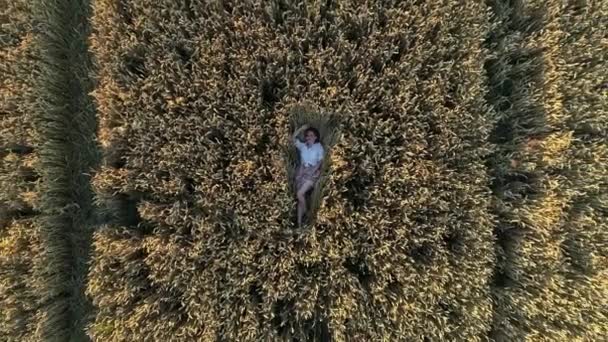 Aerial Top View Woman Lies Wheat Field Sunset Drone Flies — Vídeo de Stock