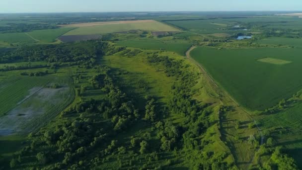 Aerial View Beautiful Landscape Summer Drone Flying Field Sunny Day — Stockvideo