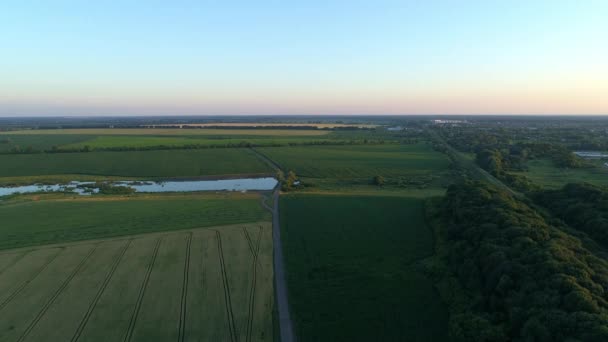 Aerial View Beautiful Summer Landscape Sunset Sunrise Drone Flying Wheat — Stockvideo