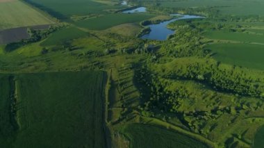 Yazın hava manzarası çok güzel. Güneşli bir günde hava aracı sahada uçuyor. İnsansız hava aracı doğayı, ormanı ve mısır tarlasını vurdu.